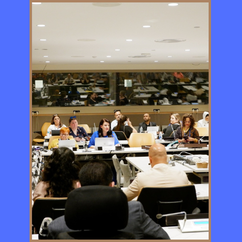 UN Speech. Breaking The Silence; Autistic Women, Sexual Violence,  and Our Fight for Justice